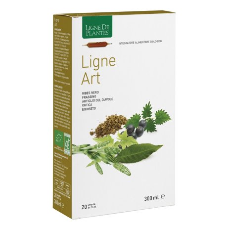 LIGNE ART 20ABX15ML