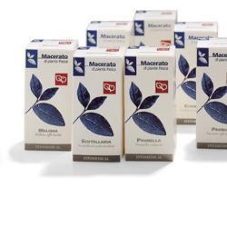 SCUTELLARIA TM 50ML