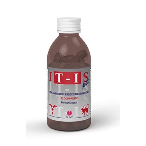 IT-IS 80CPR