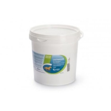 GASTROCURE 2,6KG