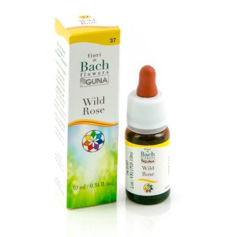 BACH  37 WILD ROSE GTT 10ML