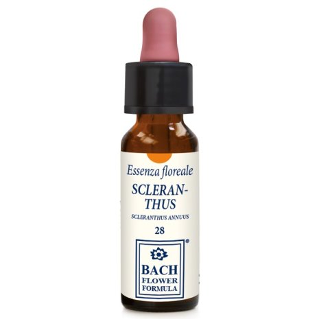 SCLERANTHUS ORIGIN 10ML GTT EBV