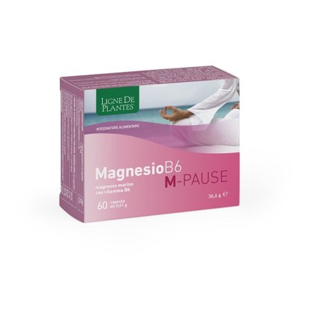 MAGNESIO B6 M-PAUSE 60CPS