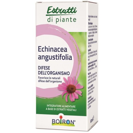 ECHINACEA BOIRON EI 60ML