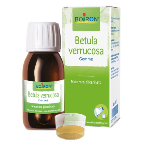 BETULA  VERRUCO MG 60ML INT BOIR