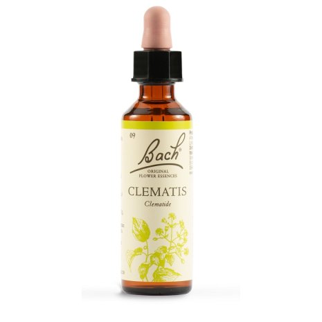 CLEMATIS BACH ORIG 20ML CLEMATIS BACH ORIG 20ML