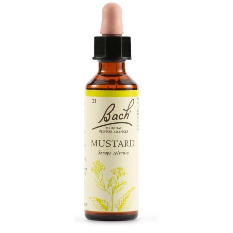 BACH MUSTARD ORIG 20ML BACH MUSTARD ORIG 20ML