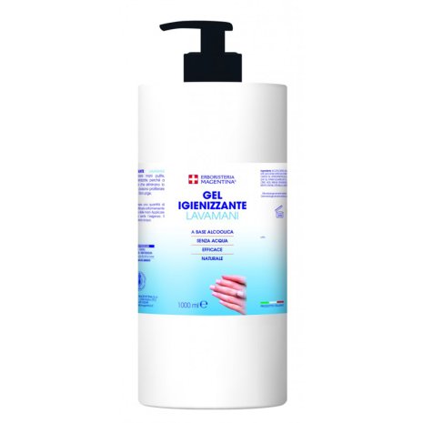 GEL IGIENIZZANTE LAVAMANI 1L