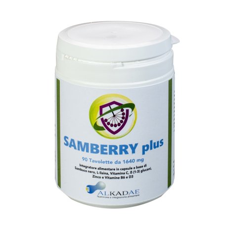 SAMBERRY PLUS 90TAV