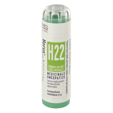 HORUS*H22 GRAN 6G