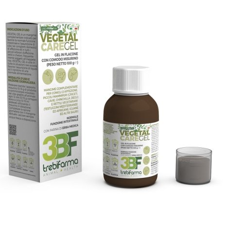 VEGETAL CARE GEL 100G