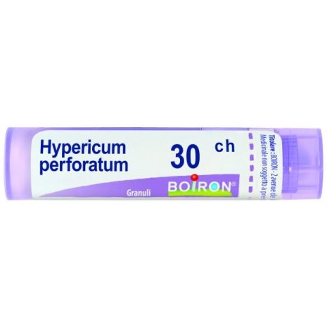 HYPERICUM PERF 30CH GR 4G