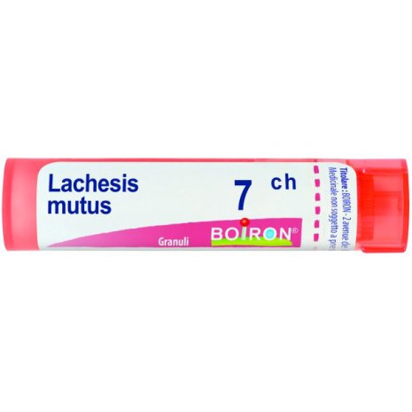 LACHESIS MUT 7CH GR 4G