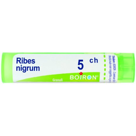 RIBES NIGRUM 5CH GR 4G