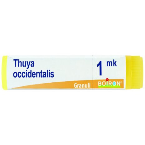 THUYA OCC MK GL 1G