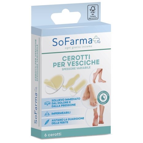 CEROTTO VESCICA ASSORTITO 6P SF+