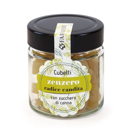 ZENZERO RADICE CANDITA VASO 17