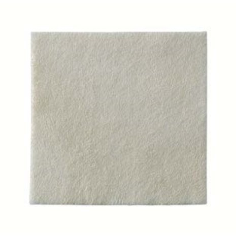 BIATAIN ALGINATE AG 10X10 10PZ