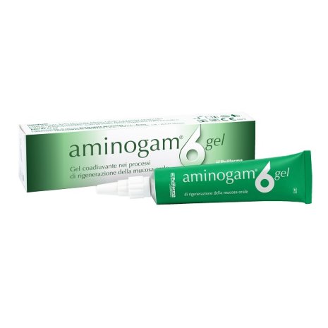 AMINOGAM 6 GEL TUBO 15ML