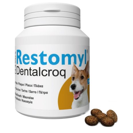 V RESTOMYL DENTRALCROQ CANE 60G