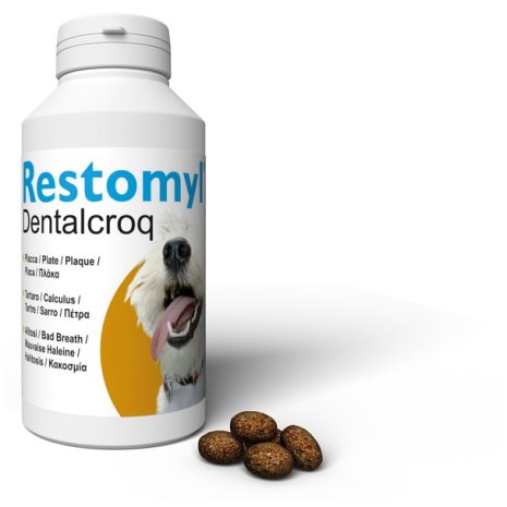 V RESTOMYL DENTALCROQ CANE 150G