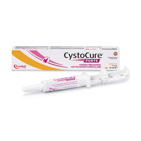 CYSTOCURE FORTE PASTA 15ML
