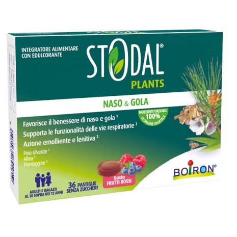STODAL PLANTS FRUTTI RO 36PAST