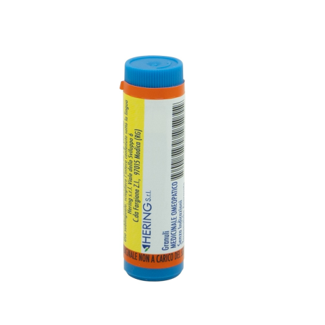 STAPHYSAGRIA*200CH GL 1G