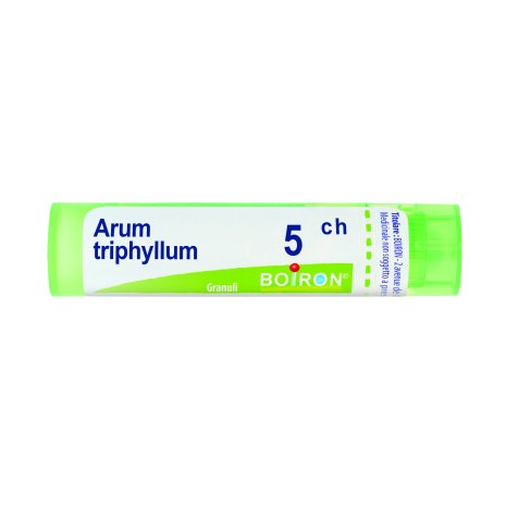 ARUM TRIPHYL BOI*5CH GR 4G